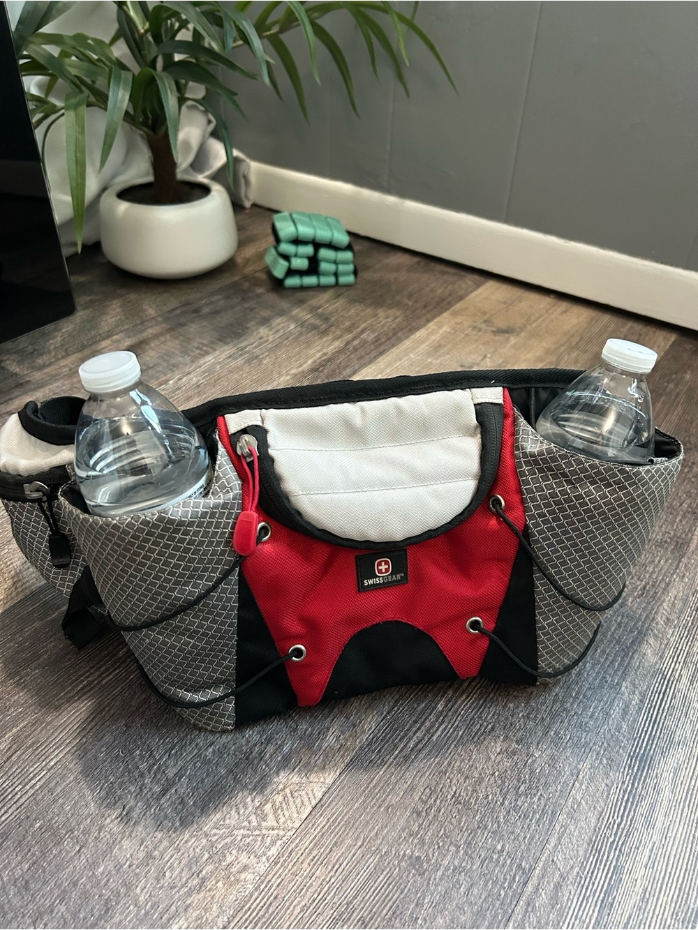 EUC Vintage SWISSGEAR Biking or Hiking Hydration Pack